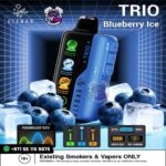 ELF BAR Trio 40000 Puffs Blueberry Ice in UAE