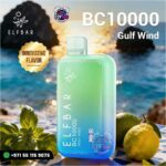 ELFBAR Gulf Wind BC 10000 Puffs in Dubai UAE
