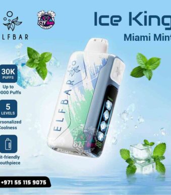ELFBar Ice King 30000 Puffs Miami Mint in Dubai UAE