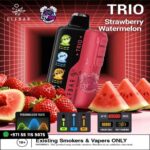 ELF Bar Trio 40000 – Strawberry Watermelon