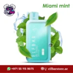 ELFBar BC10000 Puffs Miami Mint in Dubai UAE