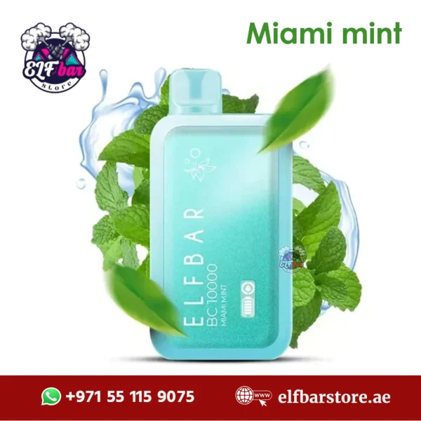 ELFBar BC10000 Puffs Miami Mint in Dubai UAE