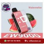 Buy ELFBar EW9000 Puffs Watermelon in UAE – Fast Delivery