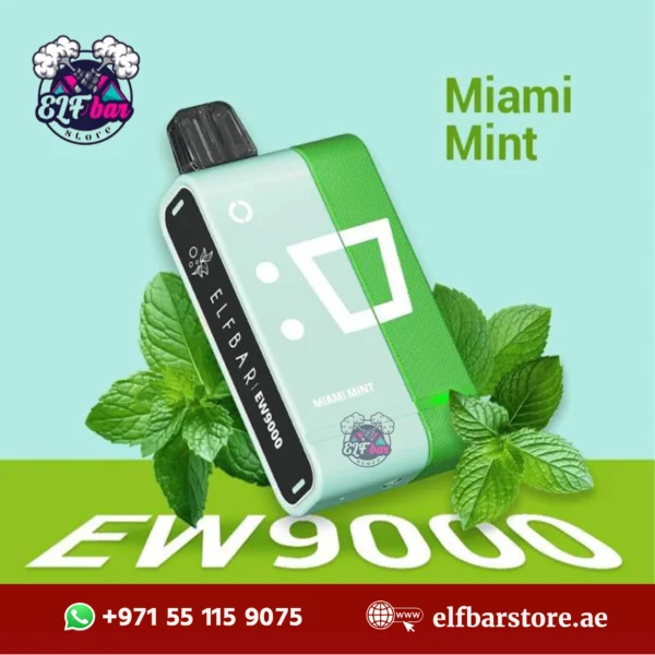 ELFBar EW9000 Puffs Miami mint in Dubai UAE