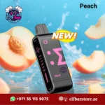 Buy ELFBar EW9000 Puffs 50mg Peach in Dubai UAE – Fast Delivery