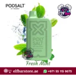 PodSalt Nexus 6000 Puffs Disposable Vape – Fresh Mint Edition (UAE)