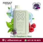 PodSalt Nexus 6000 Puffs Fresh Raspberry Mint Disposable Vape – A Long-Lasting Choice for UAE Vapers