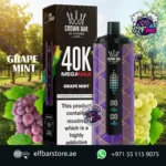 Al Fakher Mega Max 40K Puffs Disposable Vape in UAE GRAPE MINT