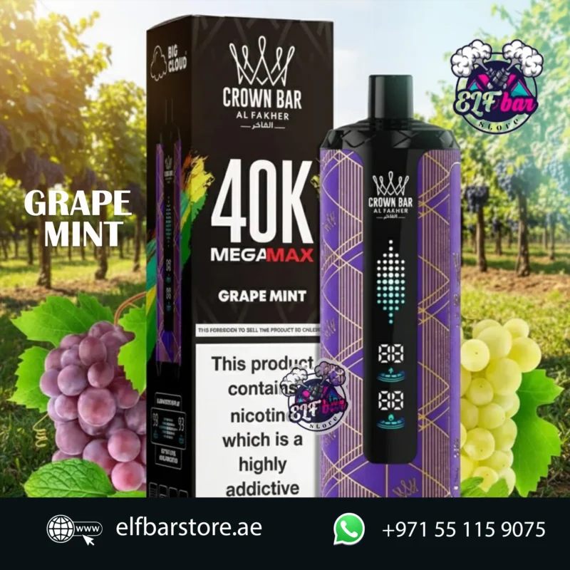Al Fakher Mega Max 40K Puffs Disposable Vape in UAE GRAPE MINT
