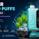 ELF BAR EP8000 Puffs Review in UAE