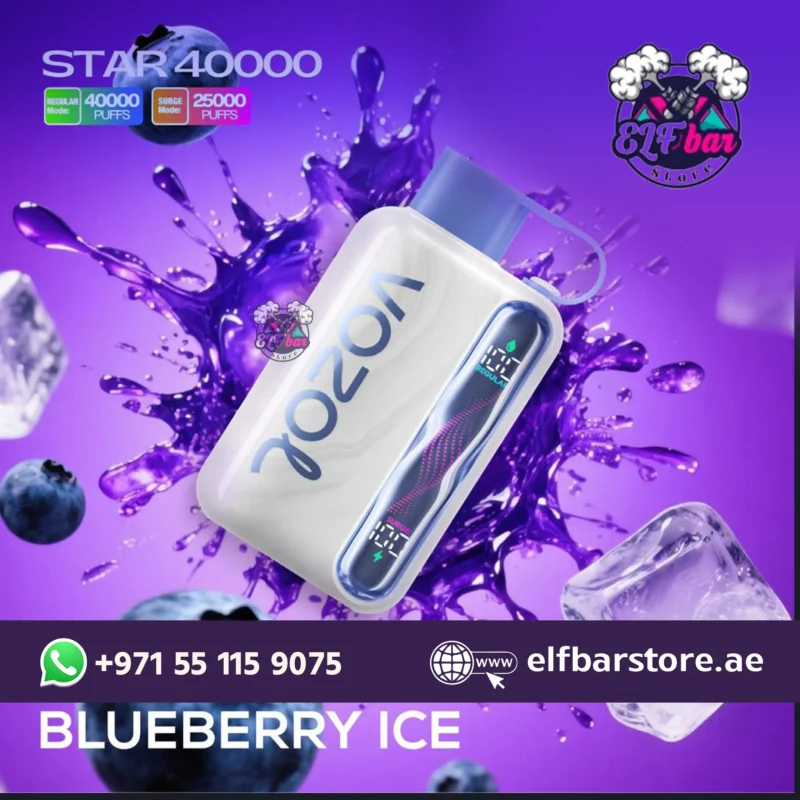 VOZOL STAR 40000 PUFFS Disposable Vape BLUEBERRY ICE