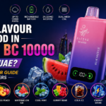 Which Flavours is good in Elfbar BC 10000 in Dubai UAE