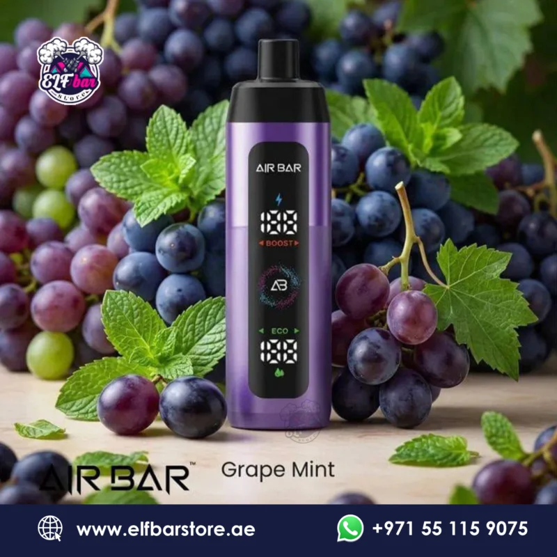 Airbar E-Shisha 15000 Puffs Grape Mint in Dubai UAE