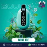 Malaki Flonq Ultra 20K Puffs Mint Ice in Dubai UAE
