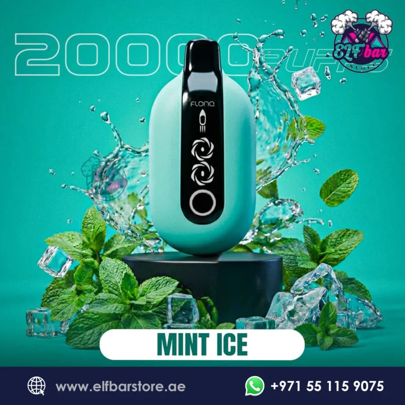 Malaki Flonq Ultra 20K Puffs Mint Ice in Dubai UAE