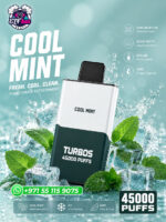 Bounce X Turbo 45000 Puffs Cool Mint Disposable Vape in Dubai