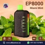 ELF BAR EP 8000 Puffs Miami Mint in Dubai UAEELF BAR EP 8000 Puffs Miami Mint in Dubai UAE