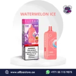 Elfbar Joinone Ice Pod 25k Puffs Watermelon Ice in Dubai