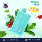 ELF BAR BC 10k Puffs 20mg Winter mint in Dubai UAE