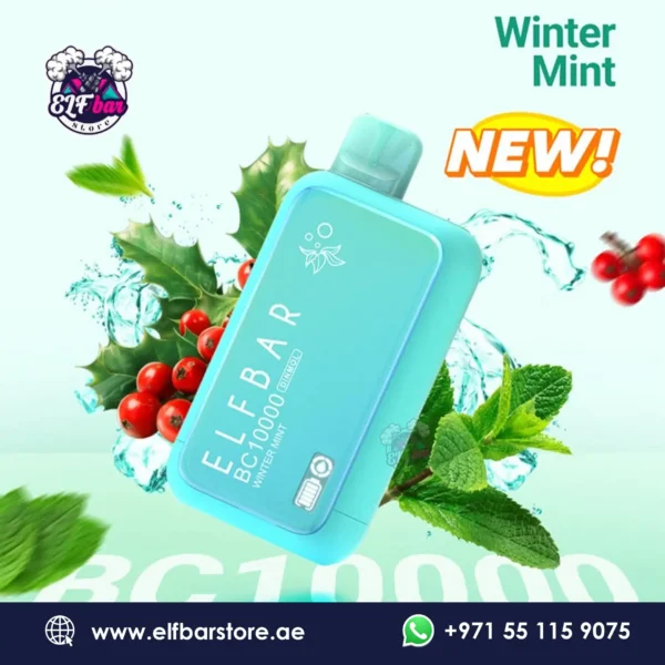 ELF BAR BC 10k Puffs 20mg Winter mint in Dubai UAE